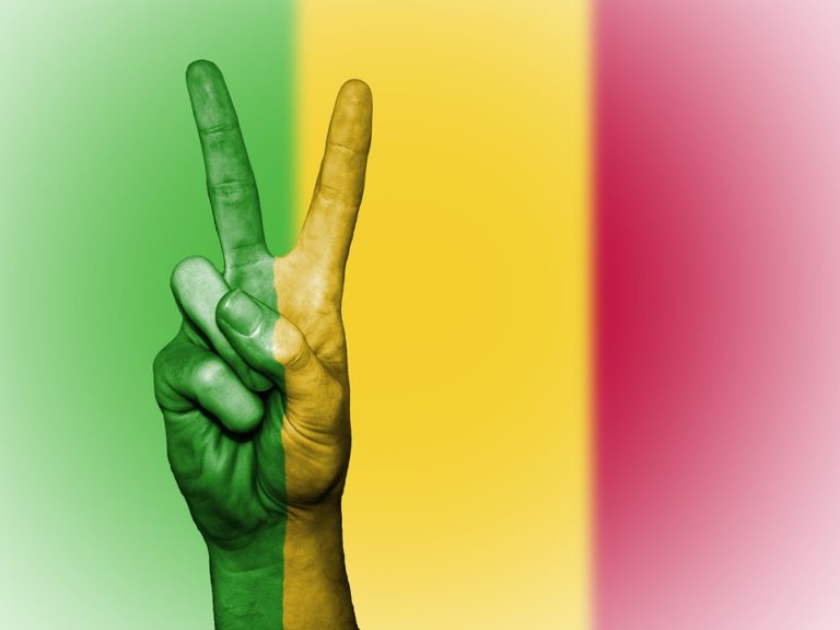 DNI/ADP-Maliba : pour que vive le Mali !