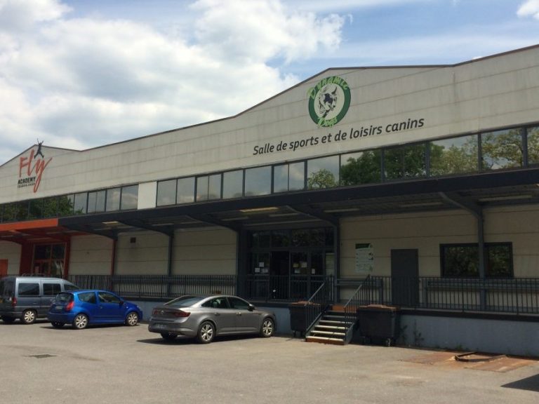 Devanture de la salle de sports Dynamics dogs