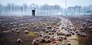 Une femme faisant du footing à l'aube.