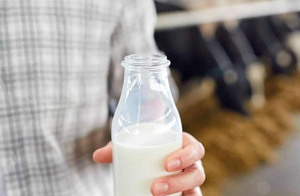 Un producteur tenant un verre de lait dans sa ferme.