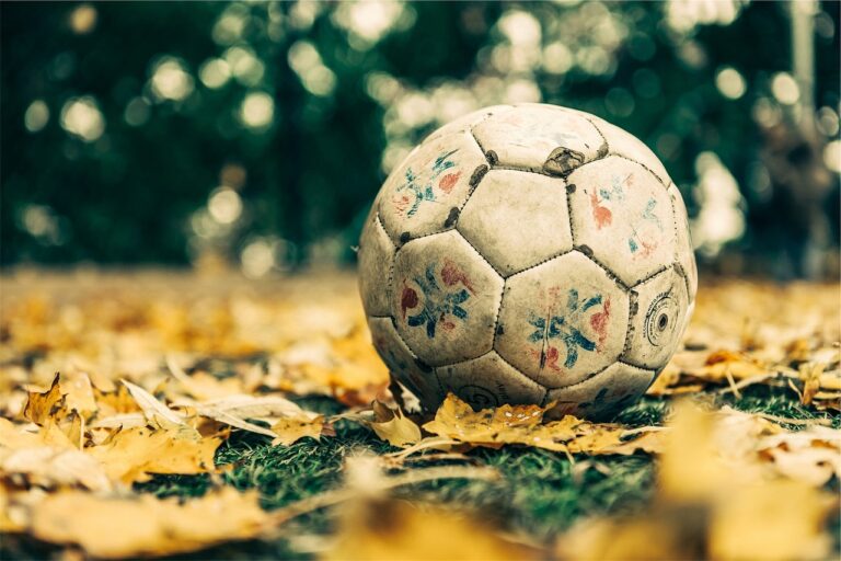 Foot : Amadou Onana en route vers Aston Villa