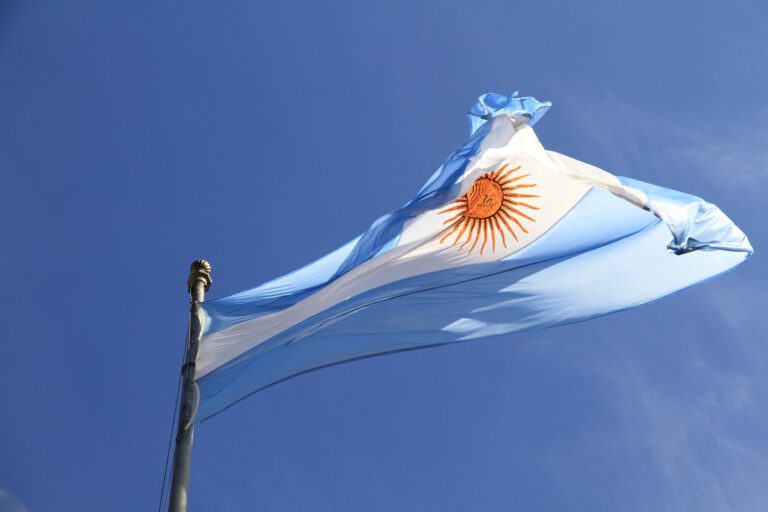 Milei et la controverse : un déferlement de réactions en Argentine