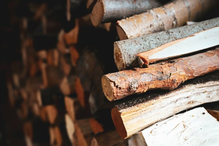 Incendies : quel poids représente la filière bois dans l&rsquo;économie française ?
