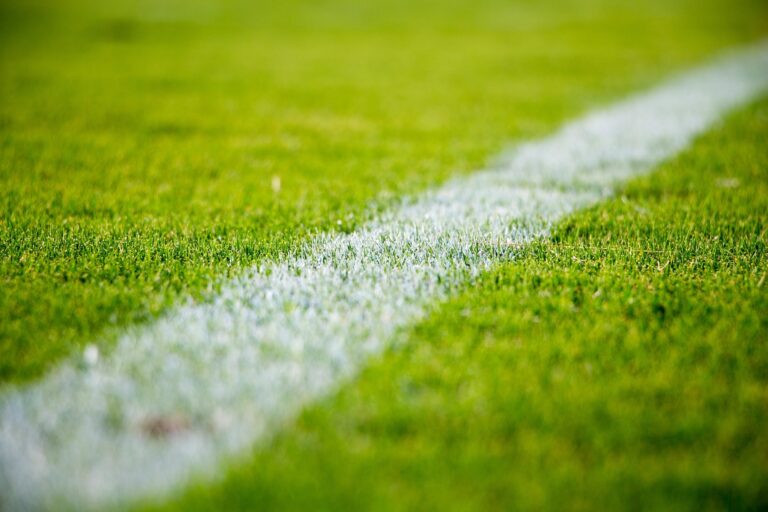 PSG : Jonathan Calderwood, responsable des pelouses depuis 13 ans, menacé de licenciement